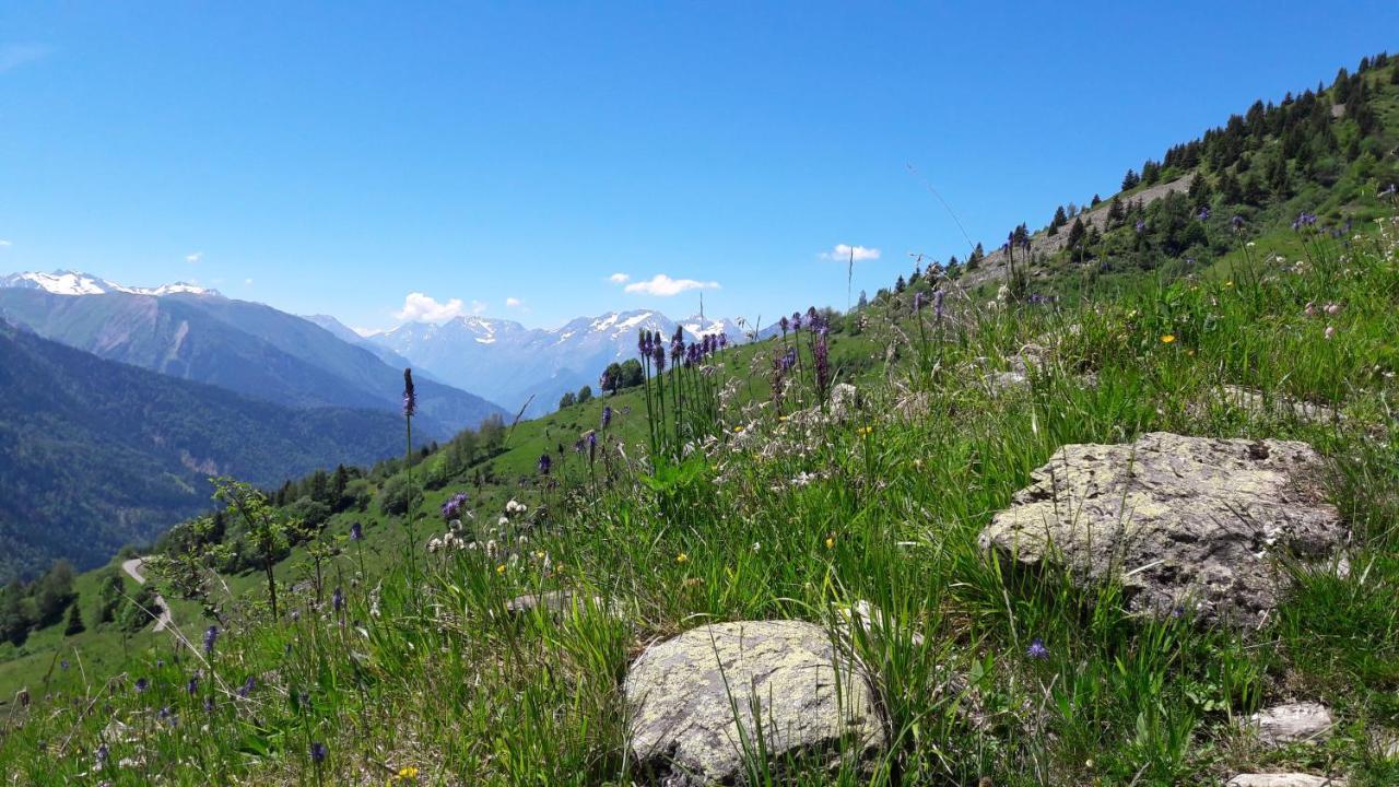 Chalet Solneige Vaujany Bagian luar foto